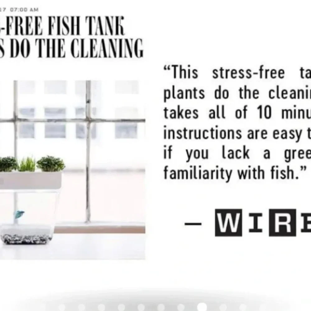 WATER GARDEN: Self-Cleaning Fish Tank Hydroponics Ecosystem micro greens